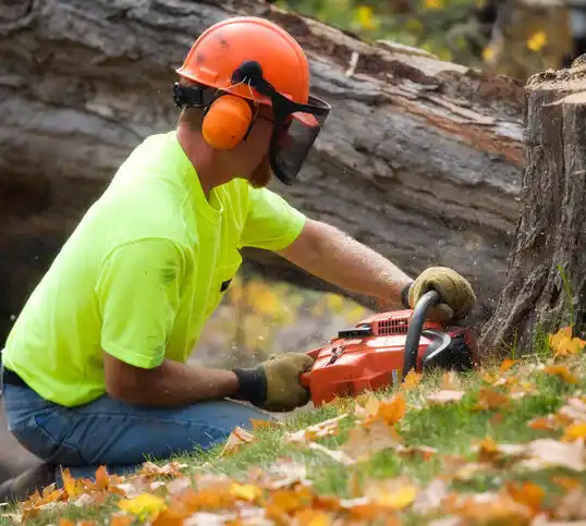 tree services Bentonia